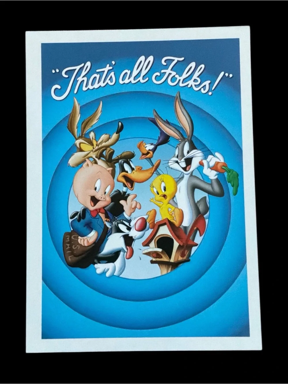 Vintage Looney Tunes Postcards Warner Bros Lot of 5 Unwritten 1990s